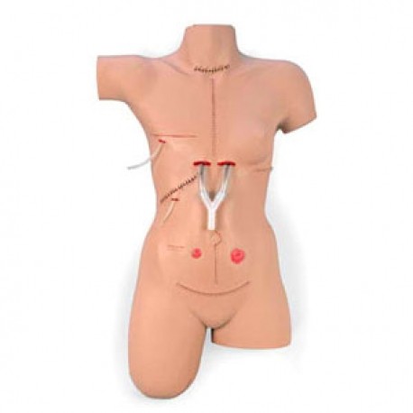 Simulador de vendaje "Surgical Sally"-PuntoMedico- NAS-LF00929U