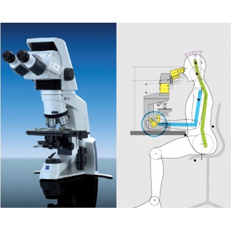 Microscopio binocular modelo Axio Lab A1-PuntoMedico- ZES-430037-9020-000