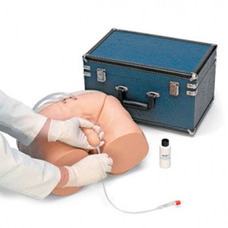 Simulador de cateterización urinaria masculino-PuntoMedico- NAS-LF00855U