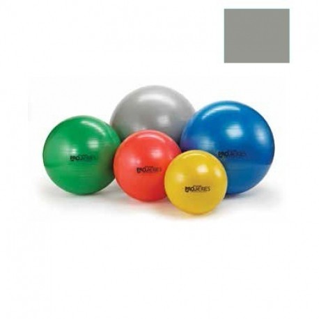 Pelota para ejercicios plata de 85 cm Thera Band Pro Series SCP-PuntoMedico- TBN-23055