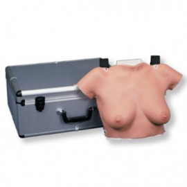 Modelo para la autoexaminación de mamas para colgar-PuntoMedico- 3BS-L50