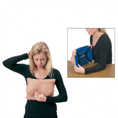 Simulador para examinación de pecho femenino-PuntoMedico- NAS-LF00984U