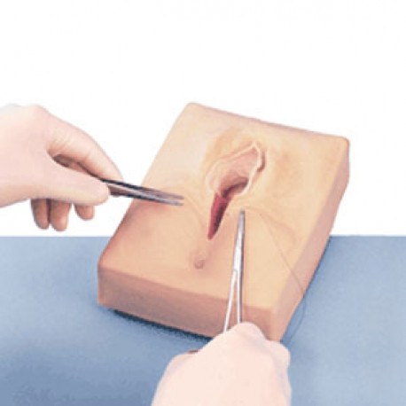 Simulador de sutura medio lateral-PuntoMedico- NAS-LF00693U